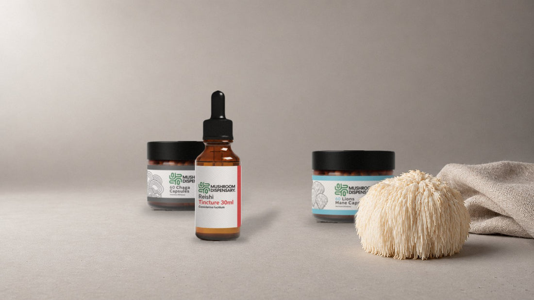 Mushroom Dispensary Chaga Capsules, Reishi Tincture 30ml and Lion's Mane Capsules on a warm gray studio surface beside a fresh lion's mane mushroom and folded linen