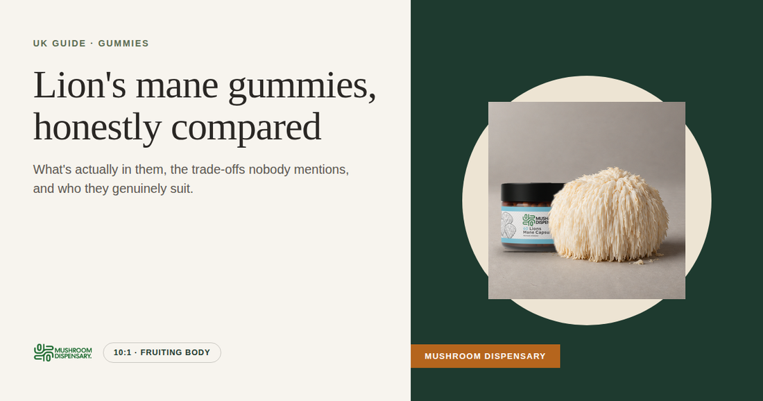 Lion's mane gummies, honestly compared (Mushroom Dispensary): a fresh lion's mane mushroom with a jar of Lion's Mane Capsules