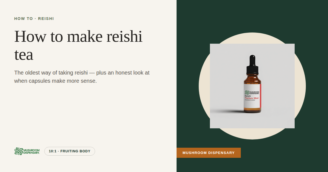 How to make reishi tea (Mushroom Dispensary)