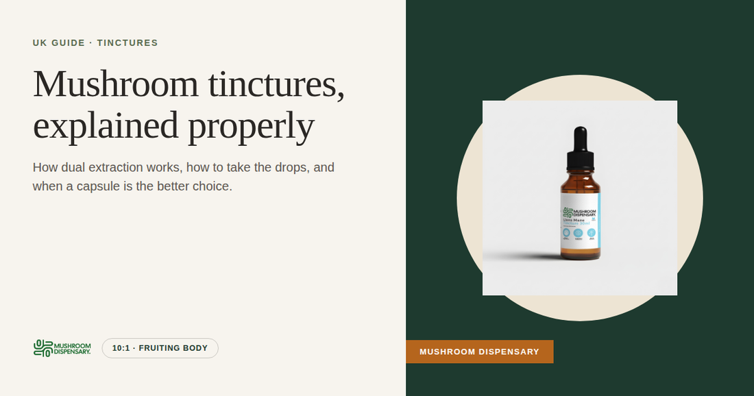 Mushroom tinctures, explained properly (Mushroom Dispensary)