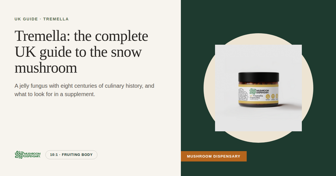Tremella: the complete UK guide to the snow mushroom (Mushroom Dispensary)