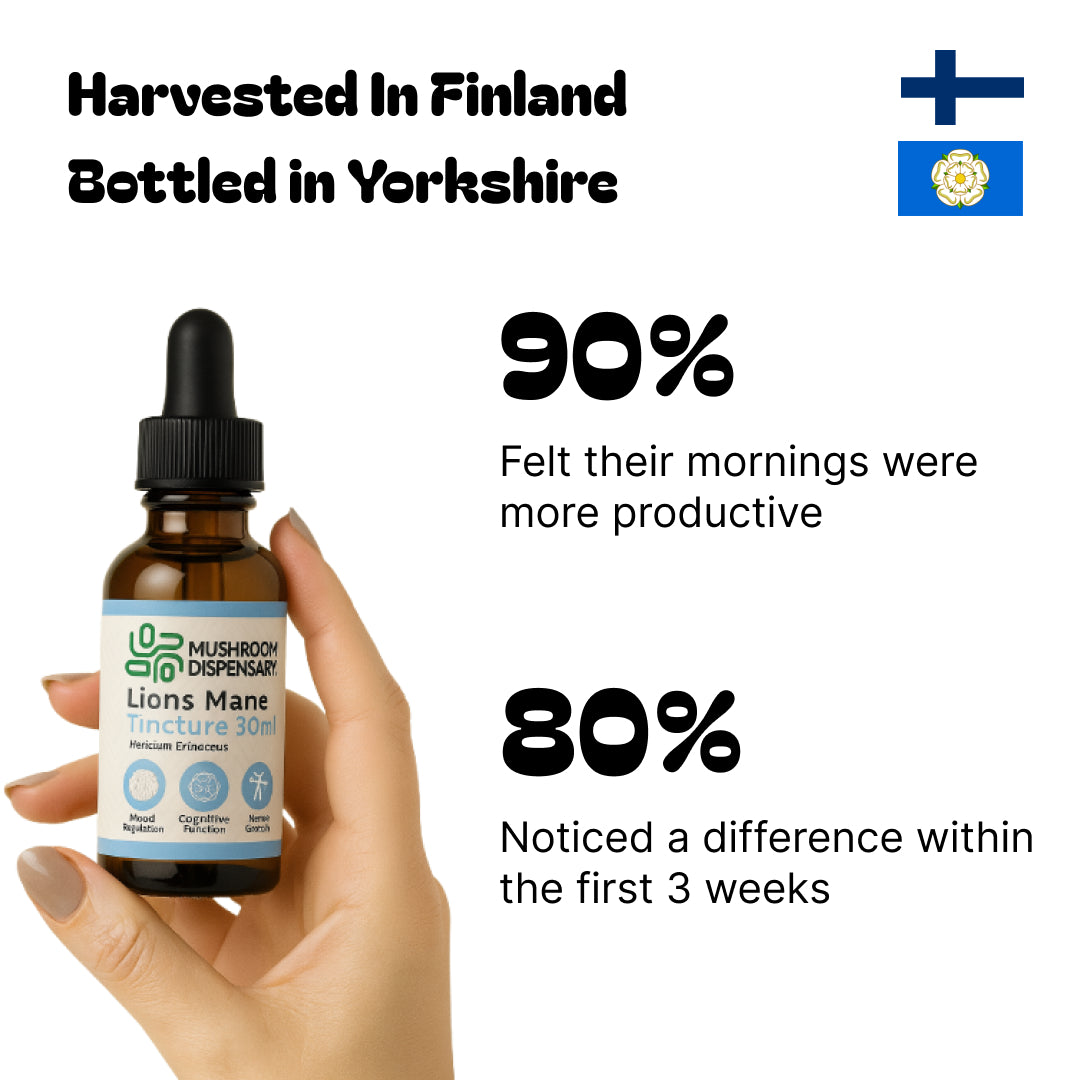 Lion’s Mane Tincture 30ml – Organic Cognitive Support | Mushroom Dispensary