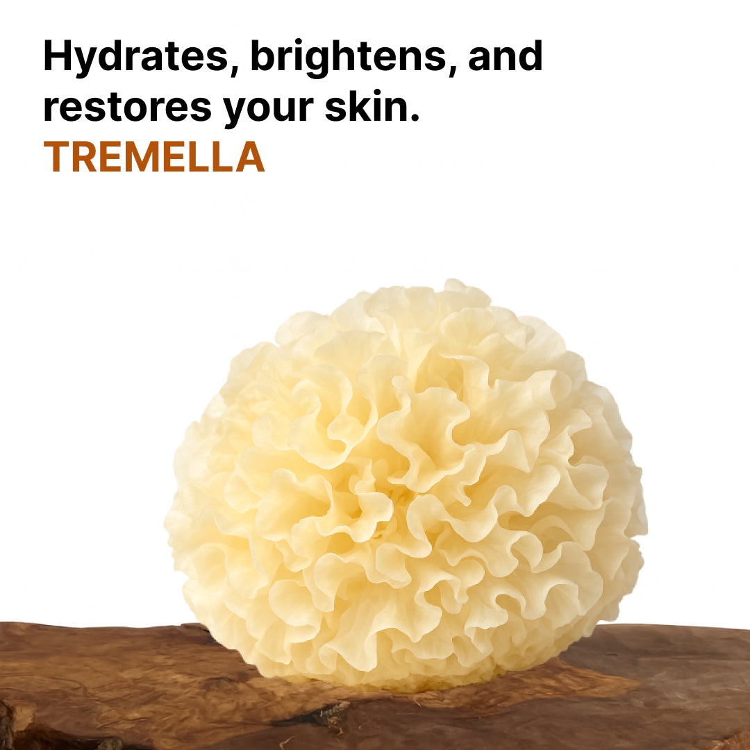 Tremella Capsules x60 – Skin Hydration & Collagen Support | Mushroom Dispensary