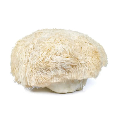 What's Inside - Lion’s Mane Capsules x60 – Organic Cognitive Support | Mushroom Dispensary