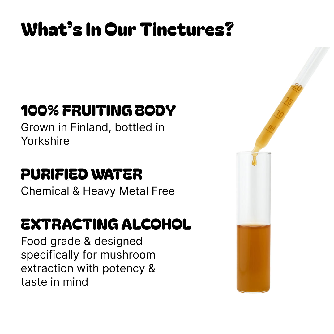 Lion’s Mane Tincture 30ml – Organic Cognitive Support | Mushroom Dispensary