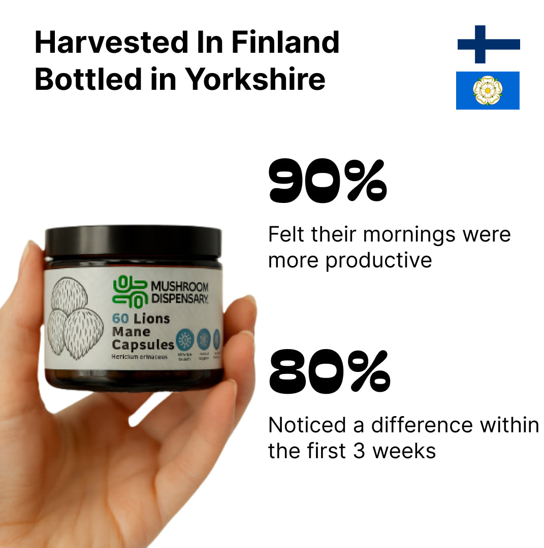 Lion’s Mane Capsules x60 – Organic Cognitive Support | Mushroom Dispensary