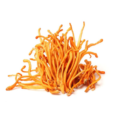 What's Inside - Cordyceps Capsules x60 – Natural Energy, Endurance & Vitality | Mushroom Dispensary