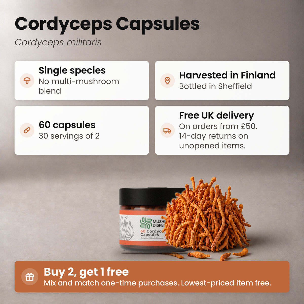 Cordyceps Capsules jar beside dried Cordyceps militaris, with key facts: single species, harvested in Finland, bottled in Sheffield, 60 capsules, 30 servings of 2