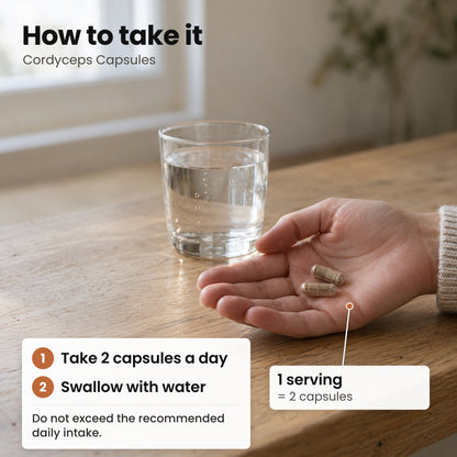 How to take Cordyceps Capsules: two capsules a day with water