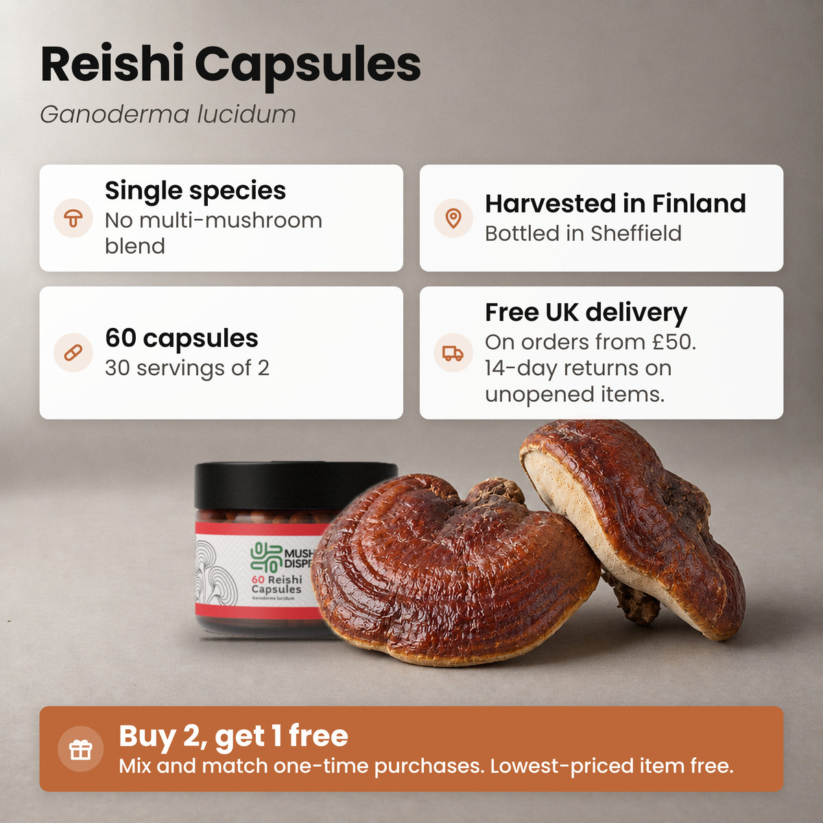 Reishi Capsules jar beside two Reishi mushroom caps, with key facts: single species, harvested in Finland, bottled in Sheffield, 60 capsules, 30 servings of 2