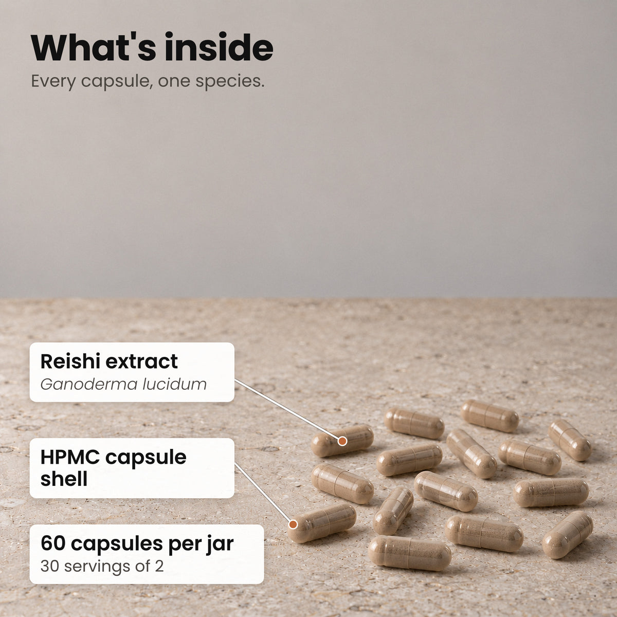 Reishi capsules on a stone surface, labelled Reishi extract and HPMC capsule shell