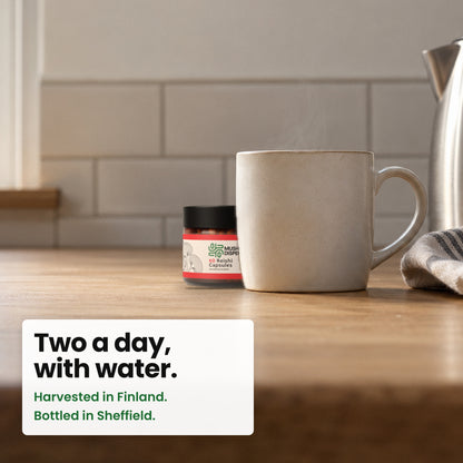 Reishi Capsules jar on a kitchen worktop beside a mug of tea