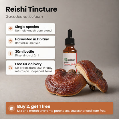 Reishi Tincture bottle beside two Reishi mushroom caps, with key facts: single species, harvested in Finland, bottled in Sheffield, 30ml bottle, 15 servings of 2ml