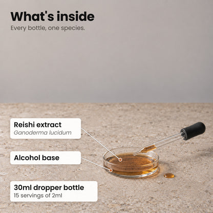 Reishi tincture in a small glass dish beside a glass pipette on a stone surface, labelled Reishi extract and alcohol base