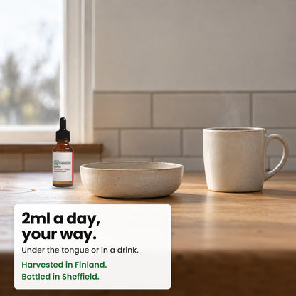 Reishi Tincture bottle on a kitchen worktop with a stoneware bowl and a mug of tea