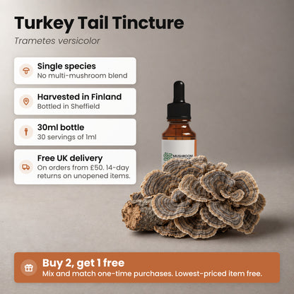 Turkey Tail Tincture bottle beside Turkey Tail brackets on a piece of branch, with key facts: single species, harvested in Finland, bottled in Sheffield, 30ml bottle, 30 servings of 1ml