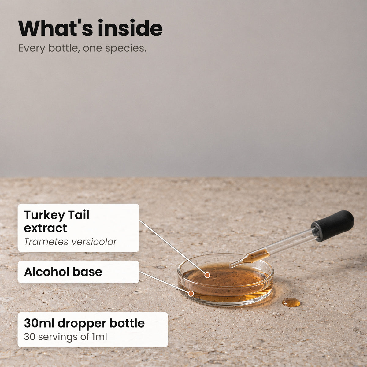 Turkey Tail tincture in a small glass dish beside a glass pipette on a stone surface, labelled Turkey Tail extract and alcohol base
